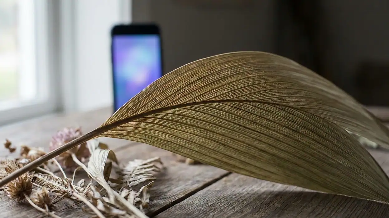Rakuten Viber Messenger: Ventajas Ocultas Frente a WhatsApp y Telegram