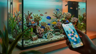 Waarom Fishdom De Onweerstaanbare Puzzelhit Van Nu Is header