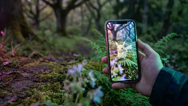 Waarom Pokémon GO Nu Essentieel Is in Ons Dagelijks Leven header